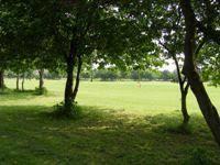 ダウン・レーン・パーク